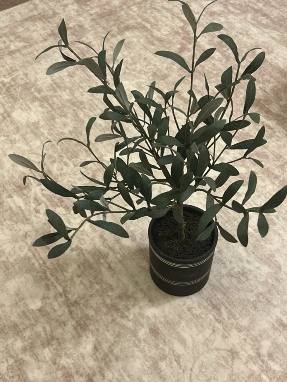 Hearth and Hand with Magnolia Faux Mini Olive Tree